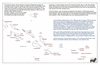 ent39 solomons_thumb.gif